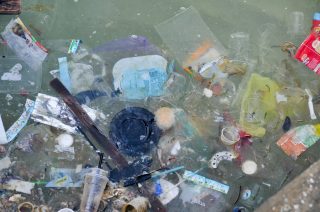 Plastic fibre water