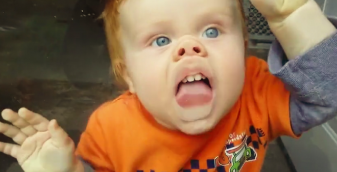 VIDEO: These squishy faces will brighten up your day! - Woman